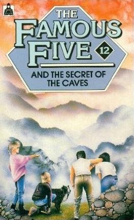 Famous Five and Secret Seven books by Enid Blyton